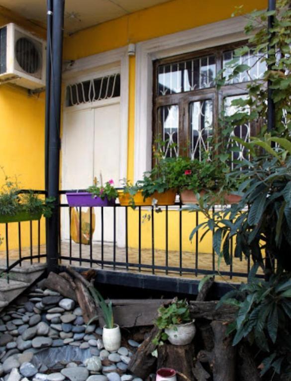 Colors Hostel 第比利斯 外观 照片