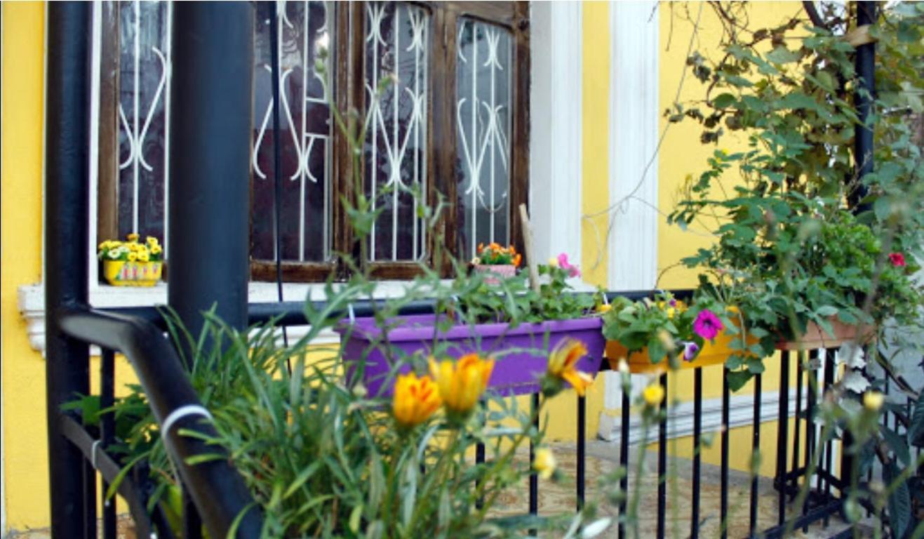 Colors Hostel 第比利斯 外观 照片