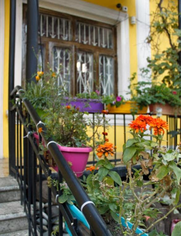 Colors Hostel 第比利斯 外观 照片
